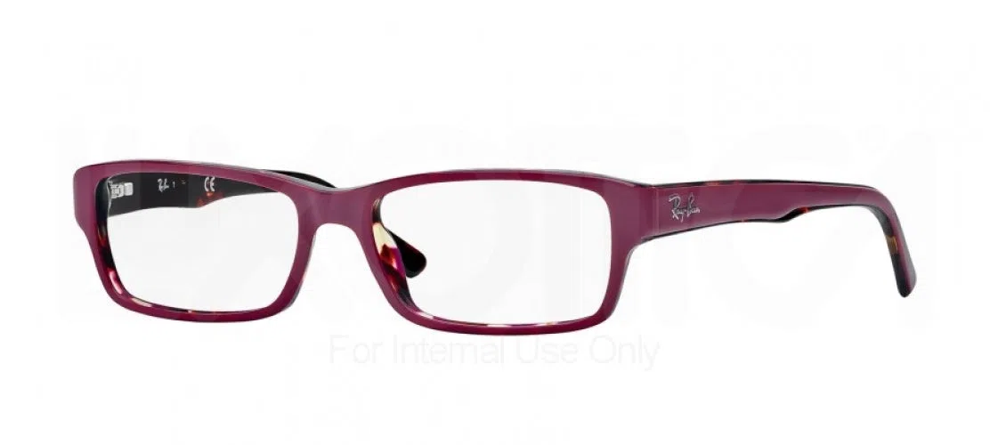 Ray-Ban 5169 Eyeglasses - view 18